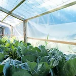 维拉维雅水疗酒店 维拉瓦拉
