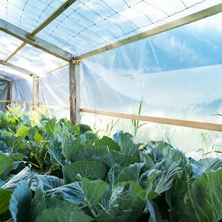 & Vilavella (Galicia)