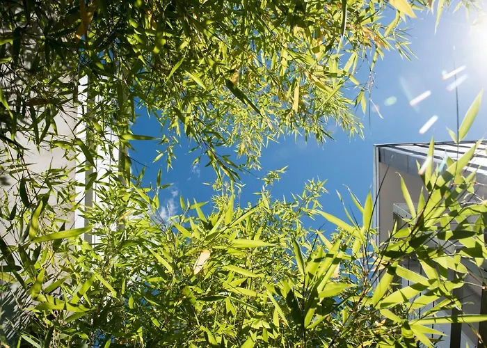 Otel Spa Vilavella 4*