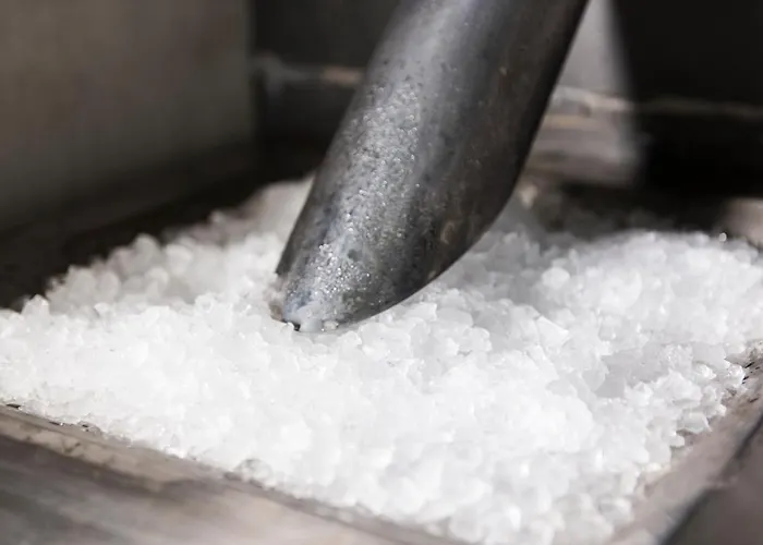 Hotel Spa Vilavella 4*